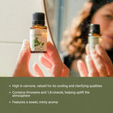Nature Packaged menthe verte pour savon maison et soins naturels
