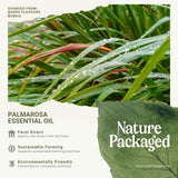 Bougie Palmarosa Nature Packaged parfum florale pour ambiance relaxante