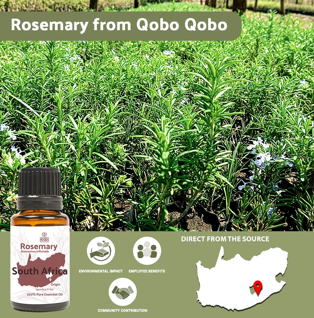 Nature Packaged Romarin—diffuseur aromathérapie pour une ambiance stimulante.