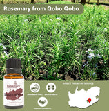 Nature Packaged Romarin—diffuseur aromathérapie pour une ambiance stimulante.