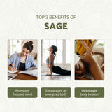 Nature Packaged Sauge diffuseur aromatique, ambiance équilibrante pour concentration et calme.