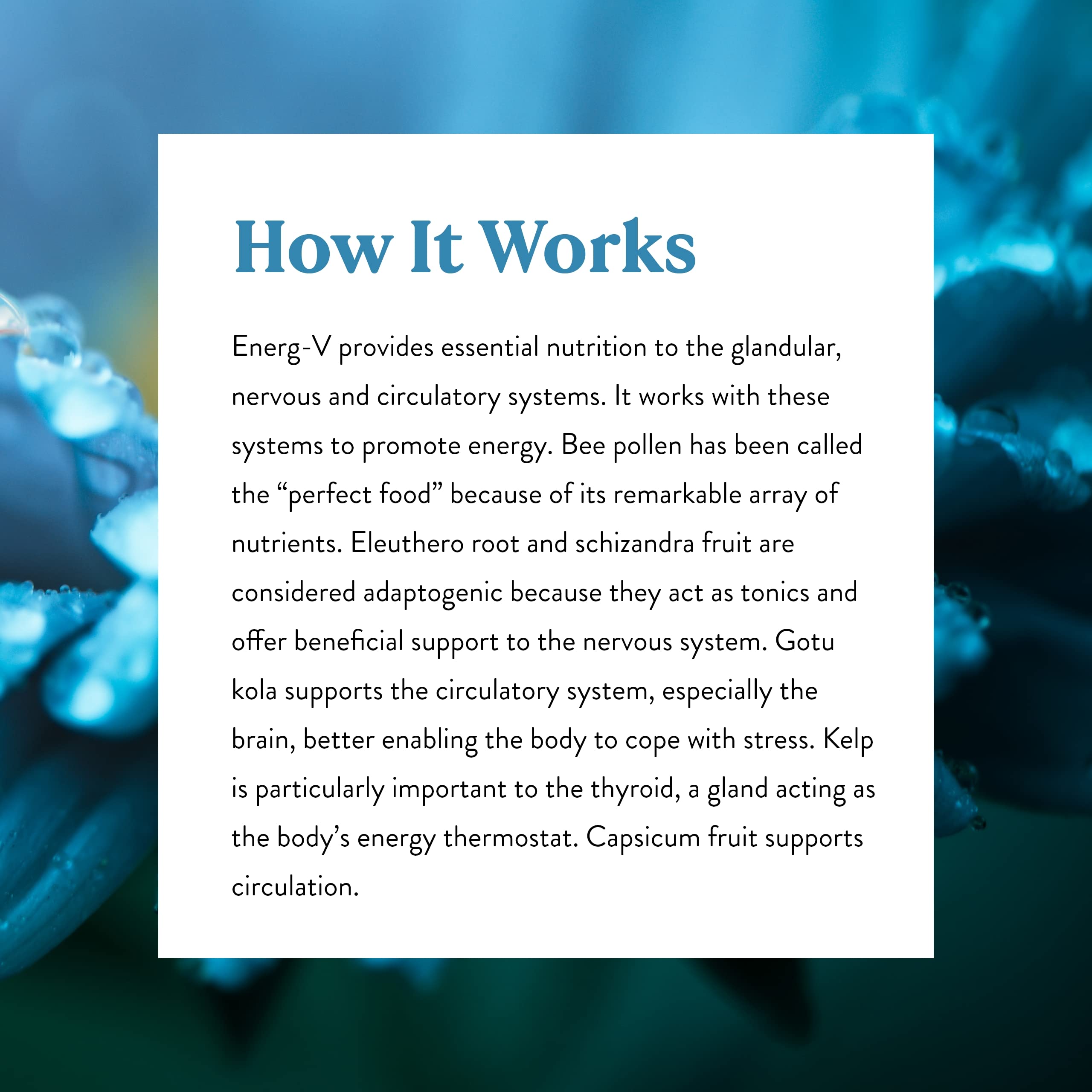 Energ-V Nature's Sunshine – moment d'énergie tout au long de la journée.