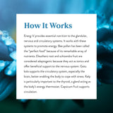 Energ-V Nature's Sunshine – moment d'énergie tout au long de la journée.