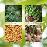 Enviro-Detox Nature's Sunshine : boîte de 100 capsules prête à l'emploi.