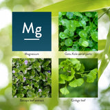 Extrait ginkgo-biloba Mind-Max Nature's Sunshine, composant clé pour la clarté mentale.