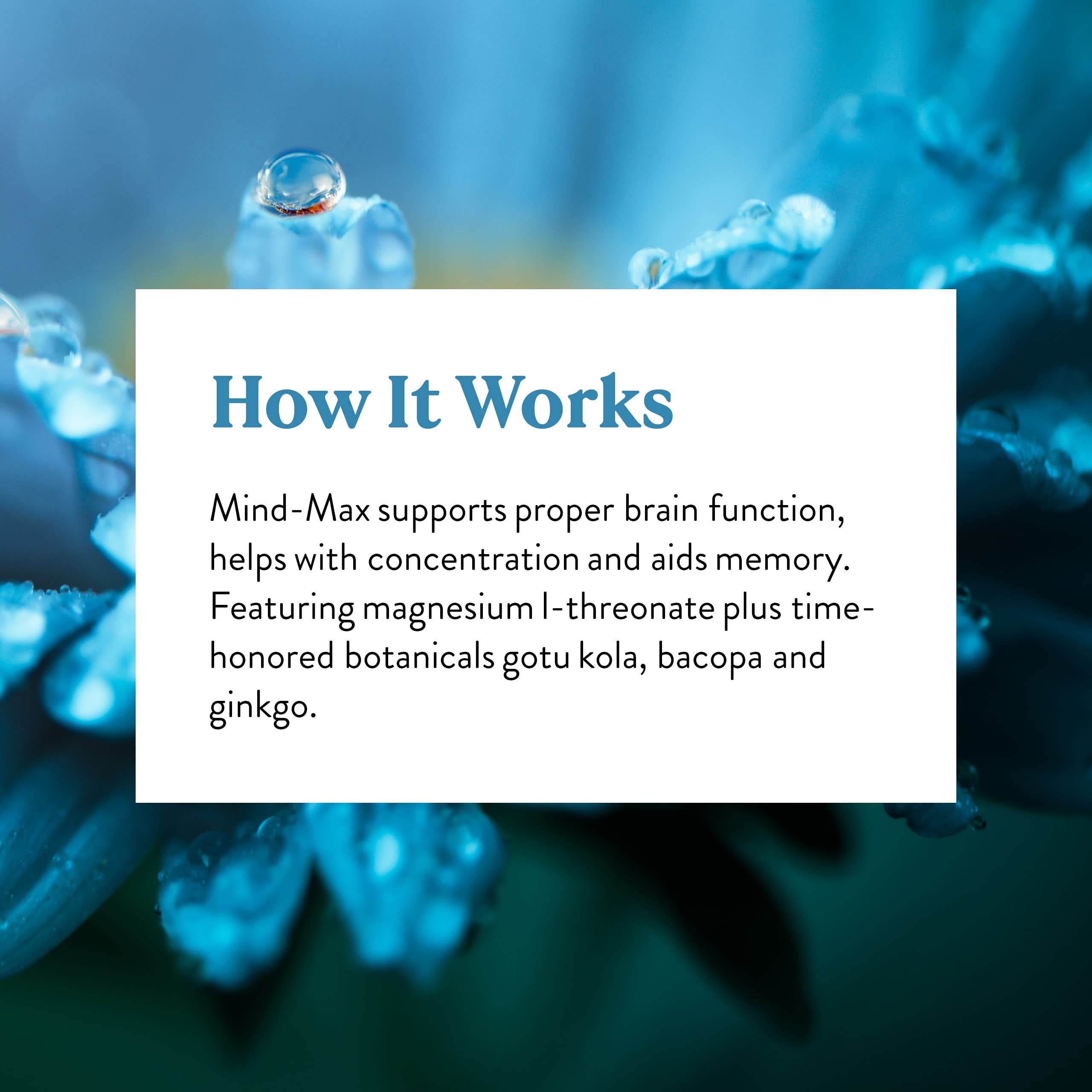 Extrait Bacopa-feuille Mind-Max Nature's Sunshine, associé au Gotu Kola pour concentration.
