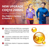 Nature Target BioPerine: amélioration de l'absorption du CoQ10.