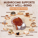 NATURE TARGET Chaga – antioxydants naturels pour le bien-être.