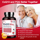 Gélules molles Nature Target CoQ10 300 mg, gros plan sur les capsules