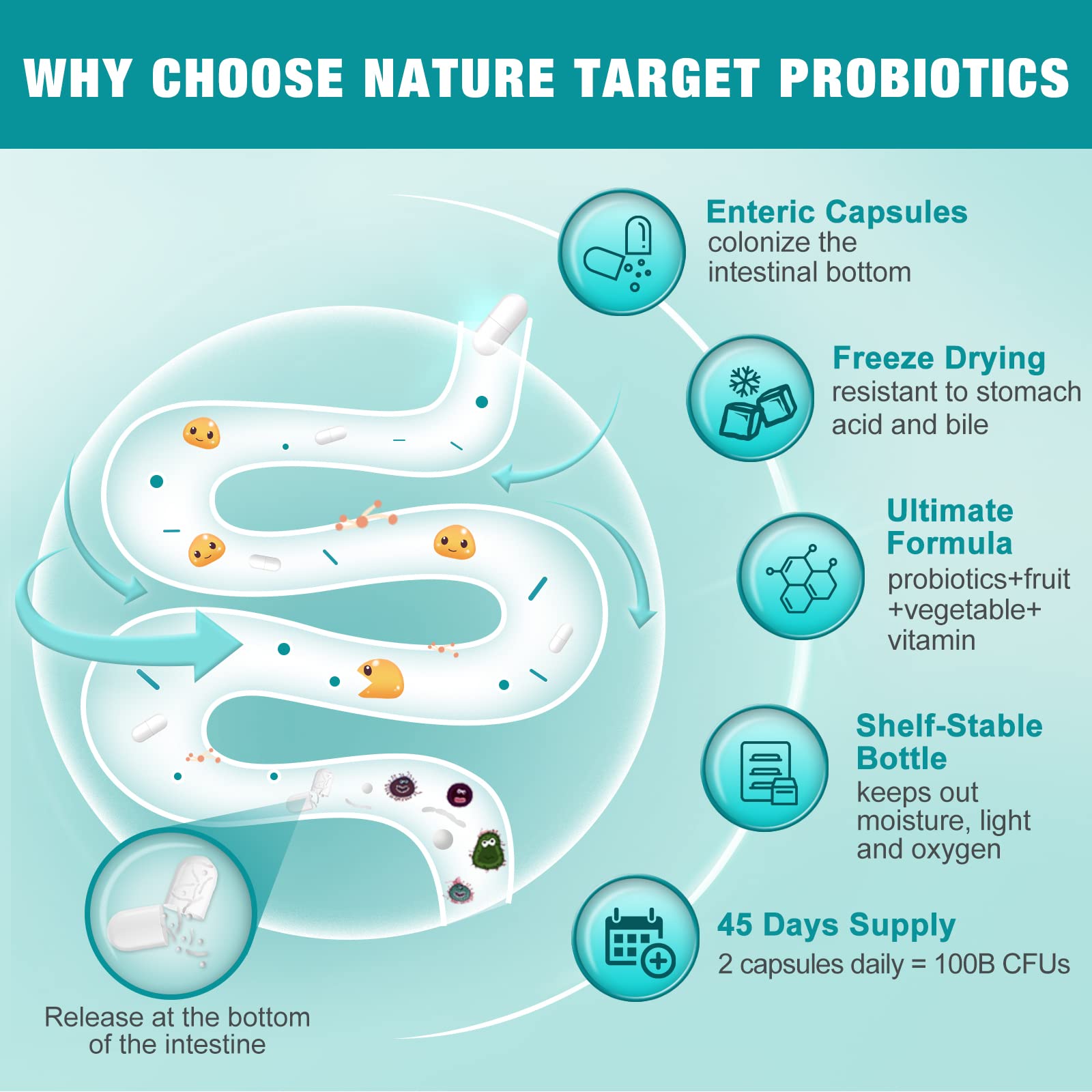 Nature Target Probiotiques capsules véganes: forme pratique et durable