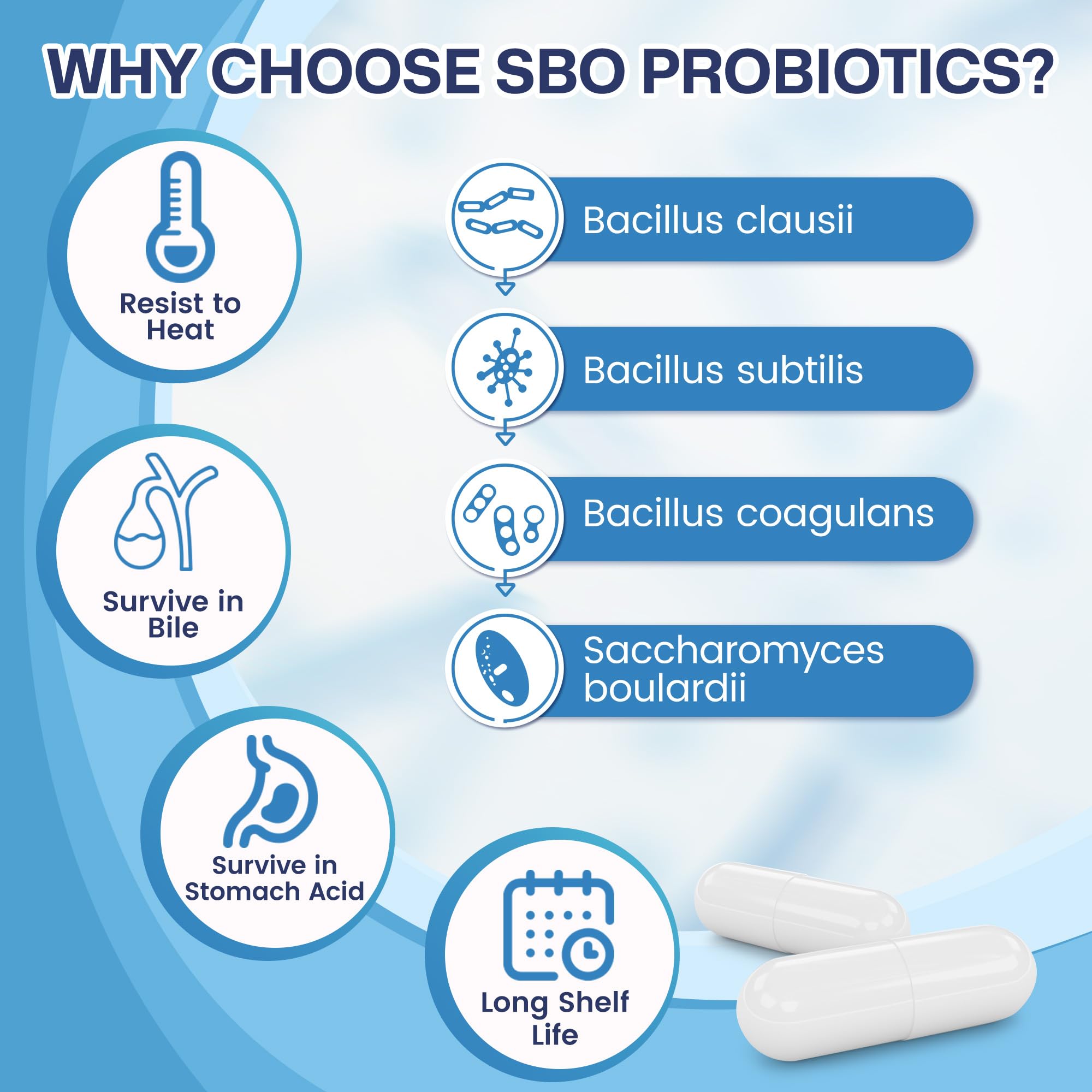 Nature Target Probiotiques – capsules enterique protegeant les souches dans l'intestin