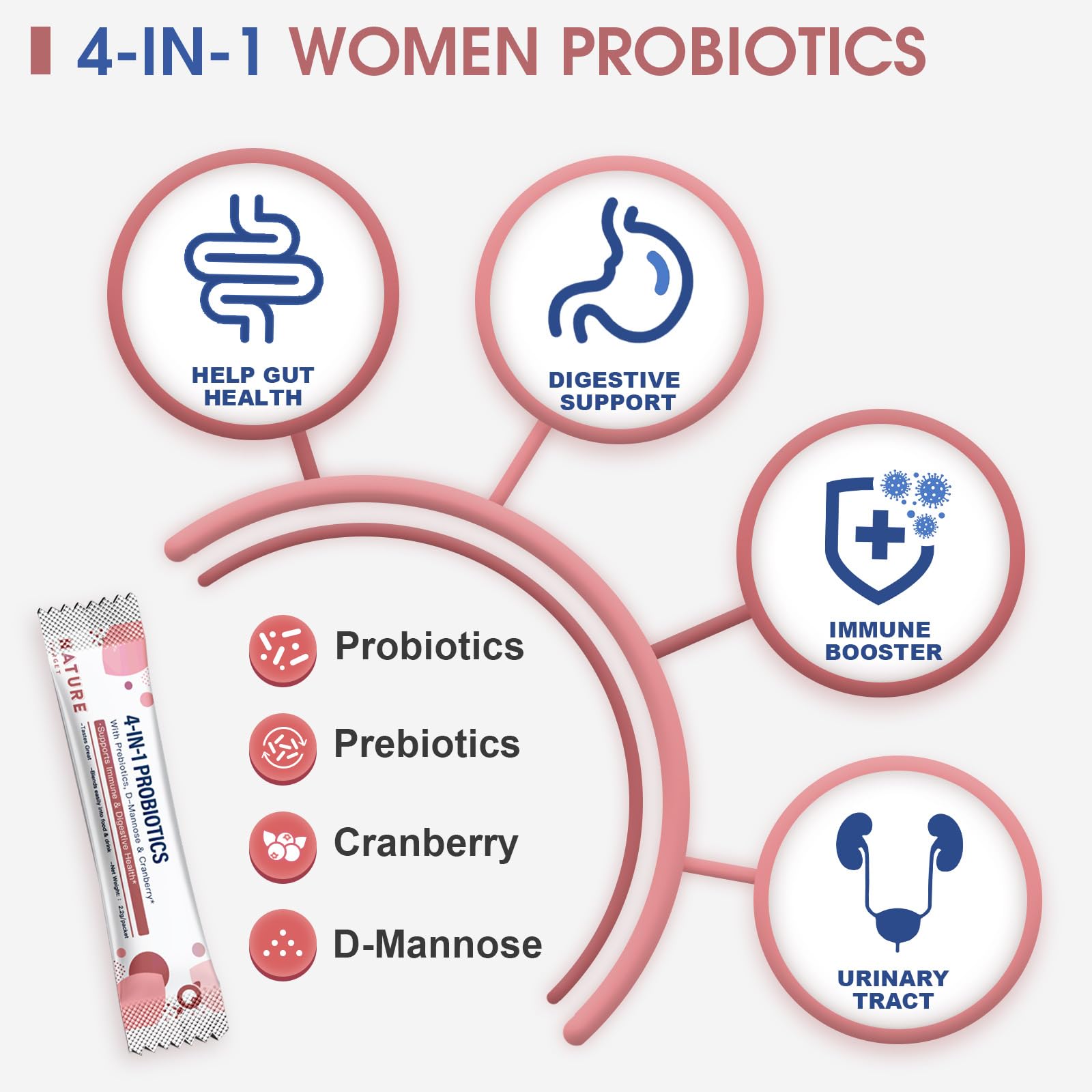 Nature Target Probiotiques pour femmes : lactobacilles et bifidobactéries nourrissent la flore intestinale.
