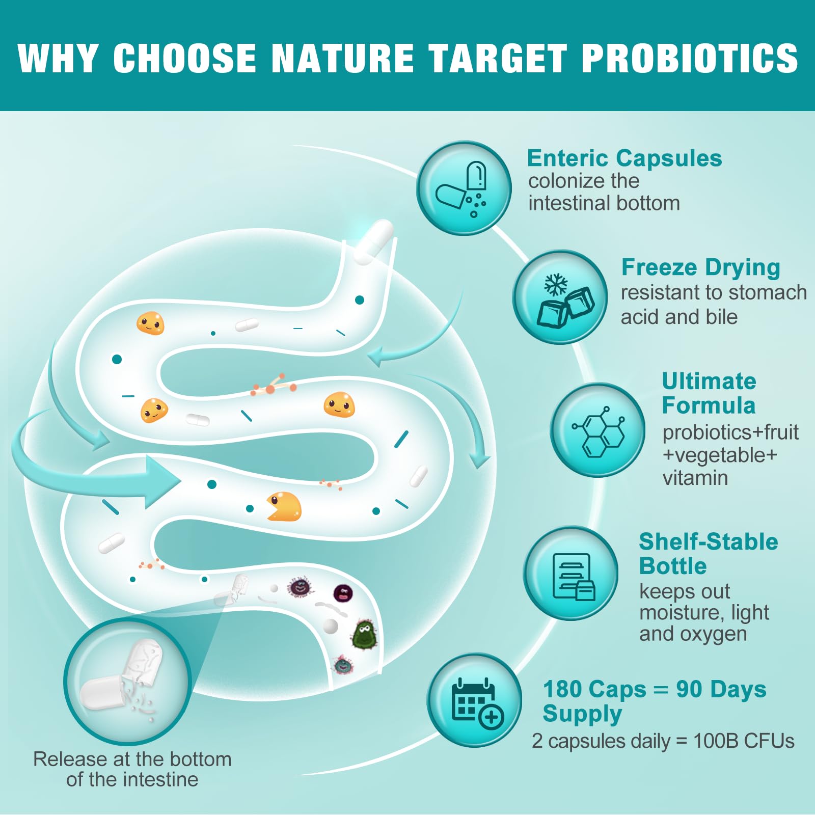 Nature Target Probiotiques - gélules végétales: formule vegan pour un confort digestif durable.