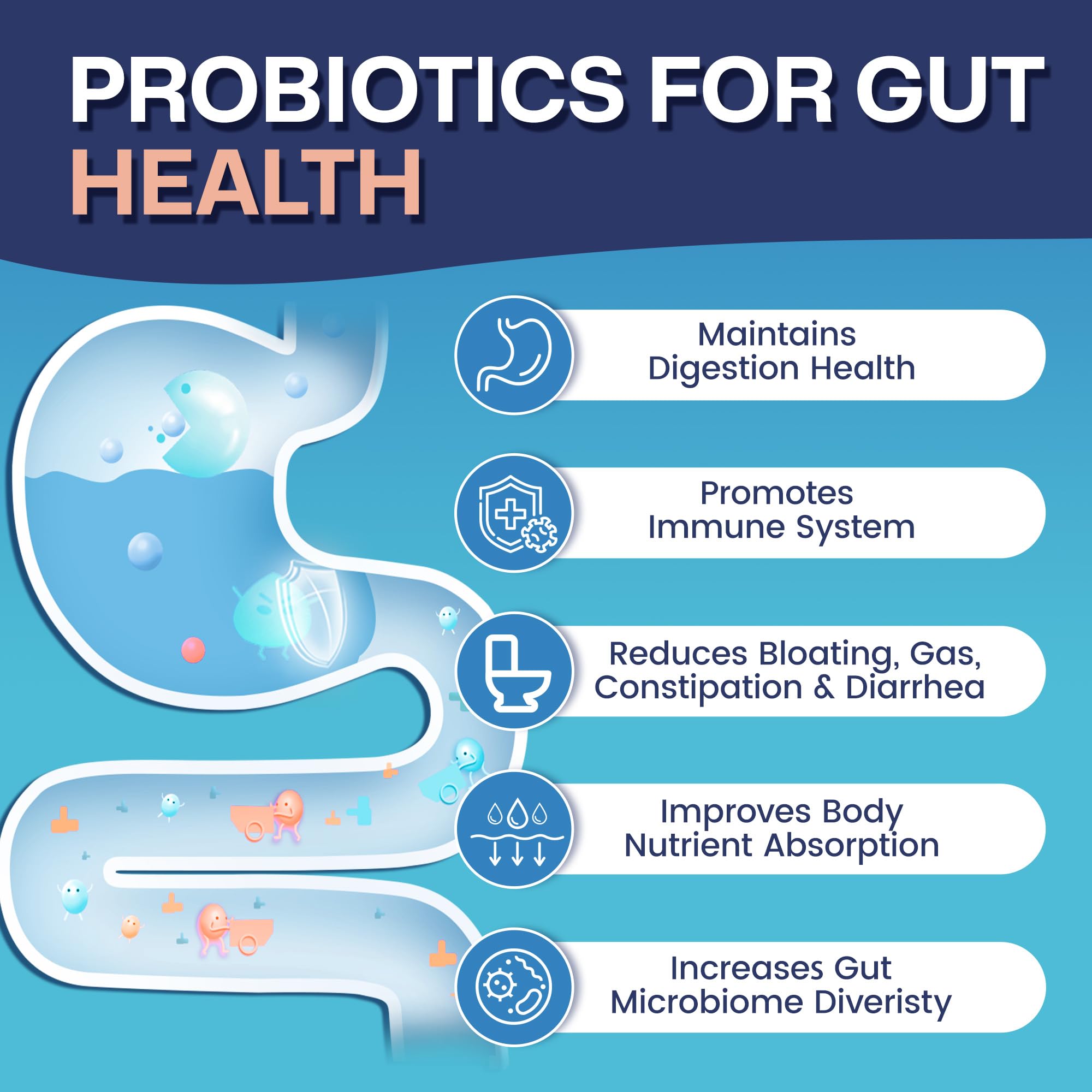 Nature Target Probiotiques – 7 souches variees favorisant l'equilibre intestinal