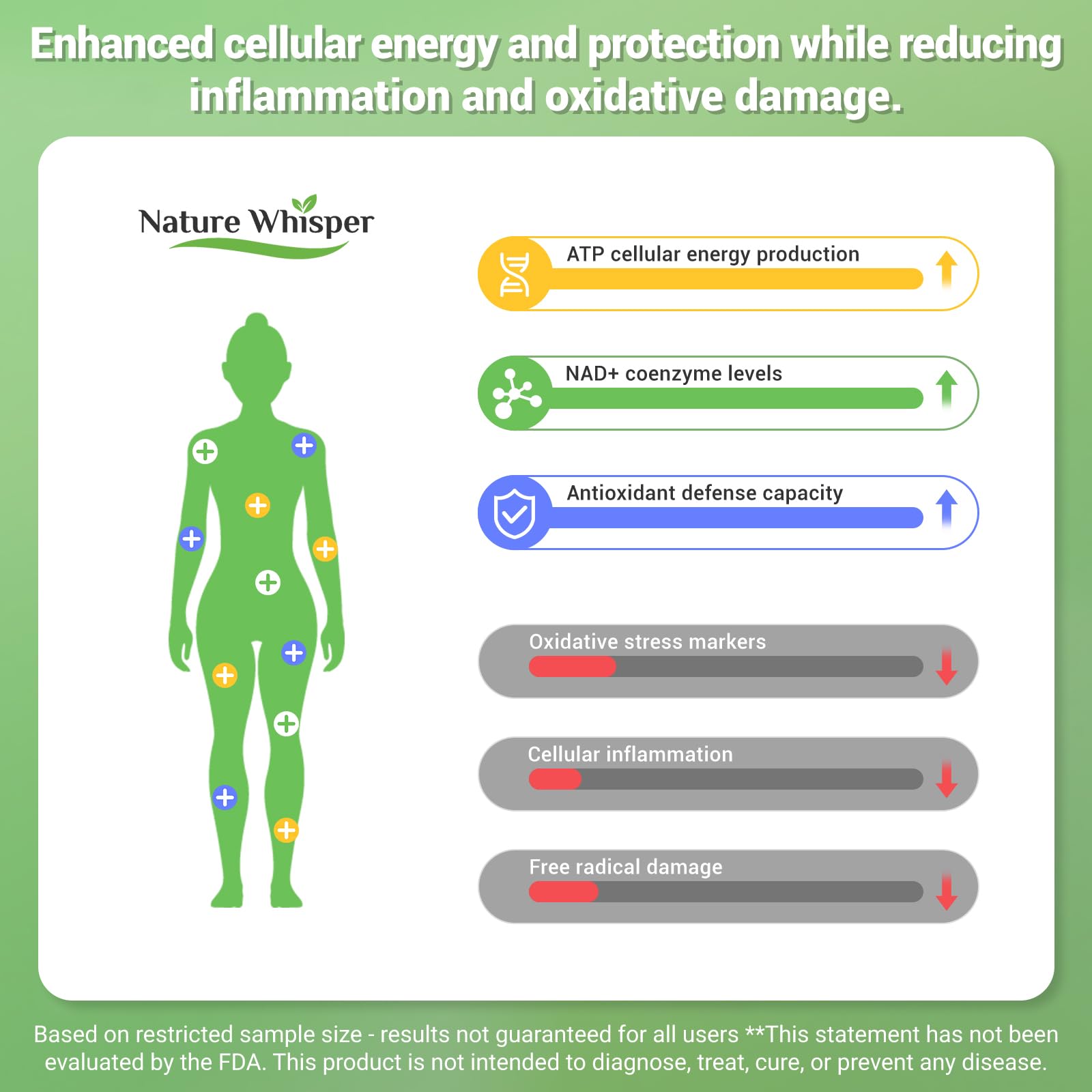 Nature Whisper NAD Resveratrol: Urolithin A favorise les processus cellulaires et l’endurance.