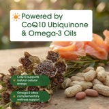 NatureBell CoQ10 Omega-3: routine quotidienne simple à intégrer.