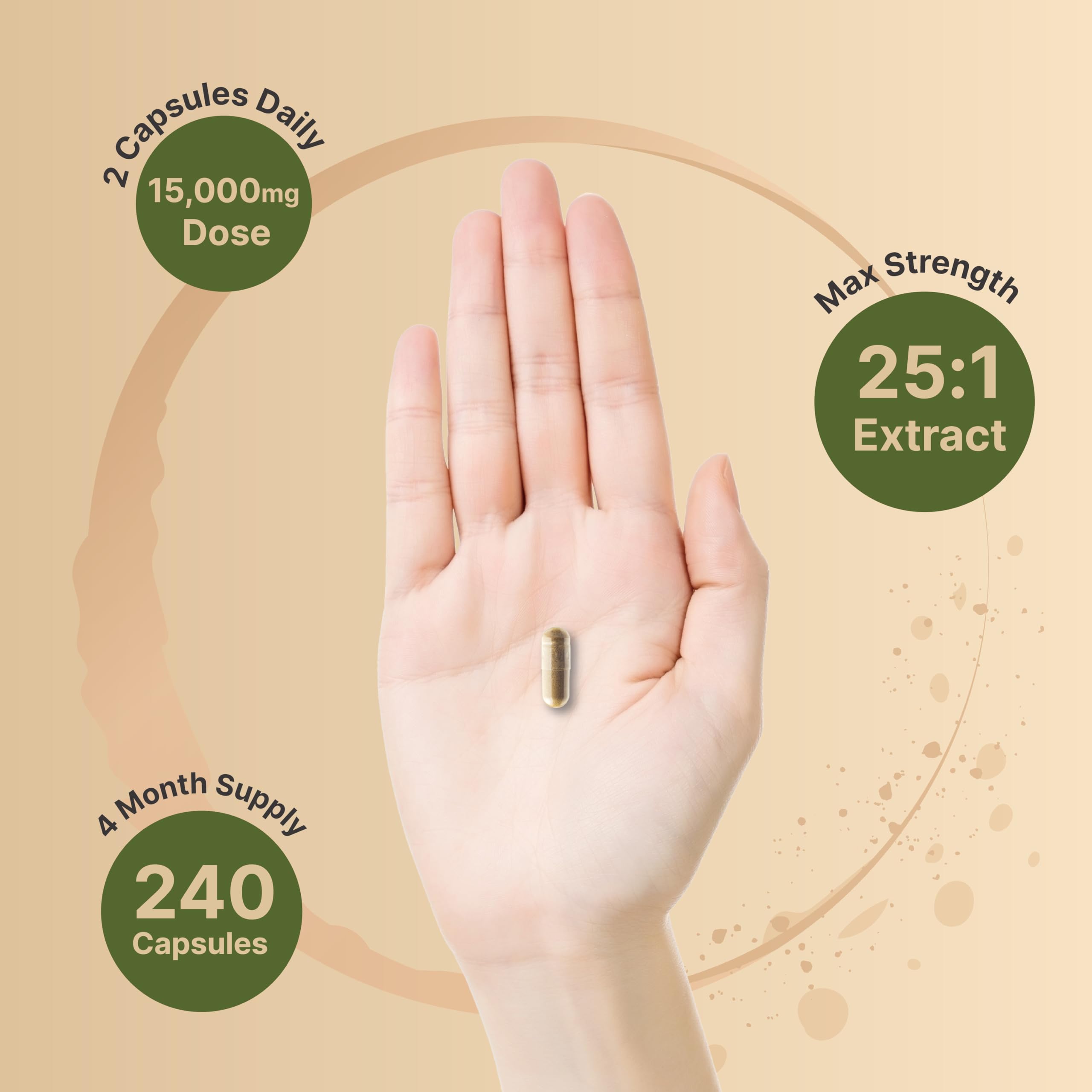 Extrait du corps fruiting et mycélium NatureBell montrant la richesse du spectre naturel.