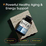 NatureBell DHEA 100mg – formule micronisée favorisant une meilleure absorption.