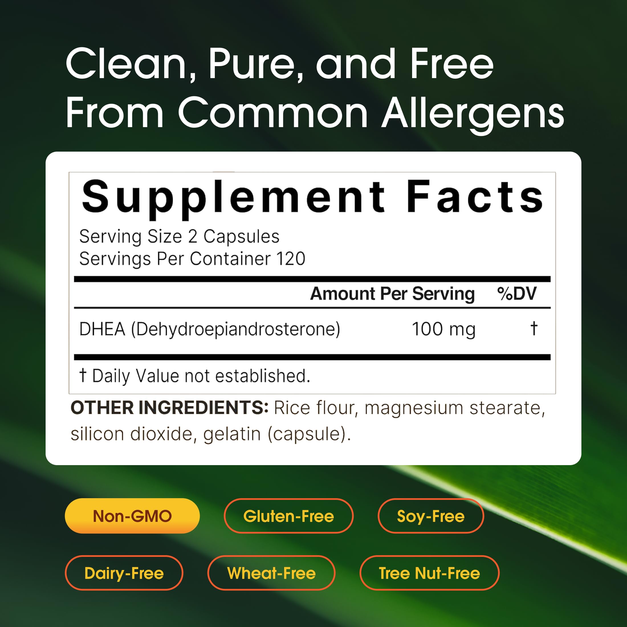 NatureBell DHEA – immunité et antioxydant potentiel pour la vie quotidienne.