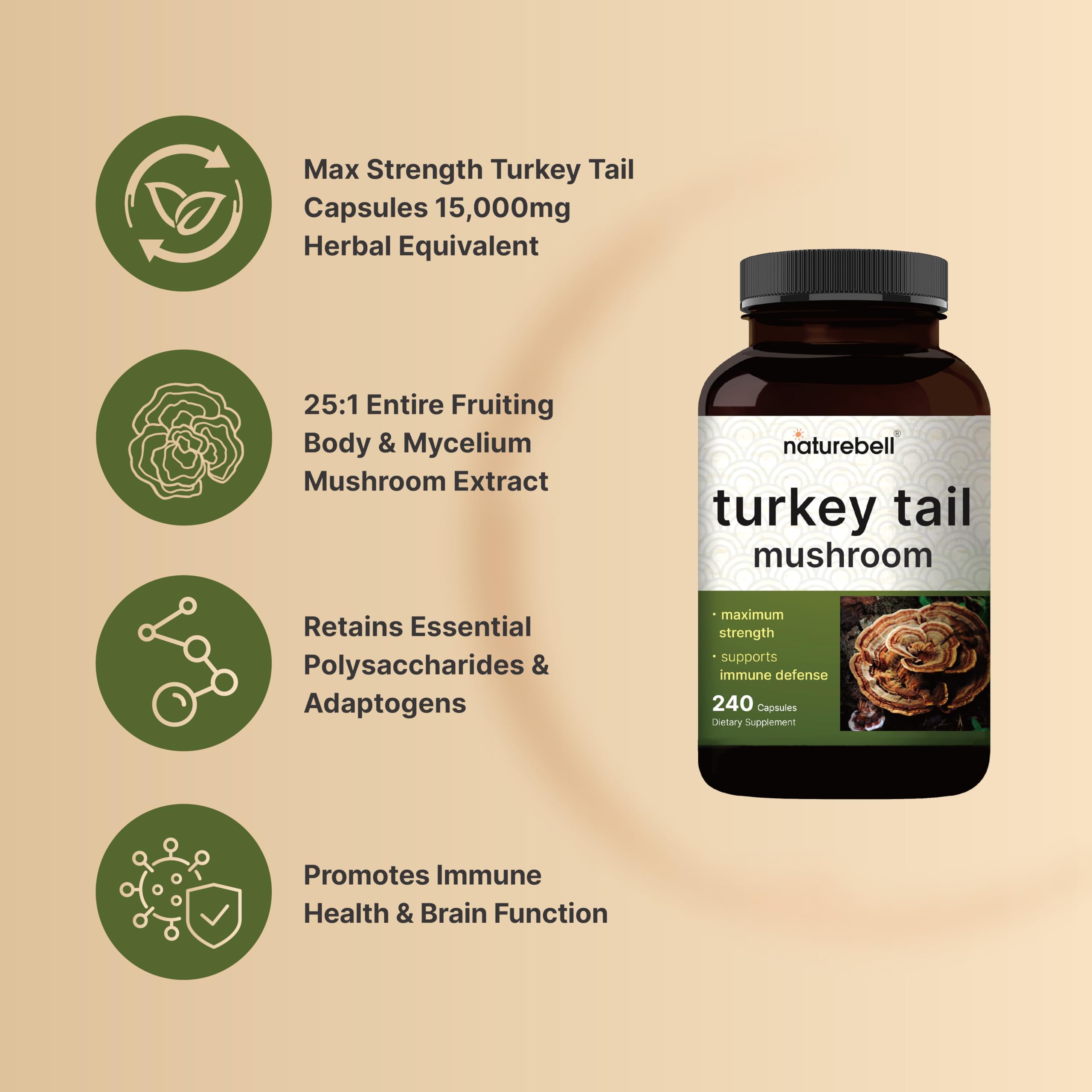Extrait 25:1 NatureBell Turkey Tail concentré pour un spectre riche de champignons.
