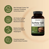 Extrait 25:1 NatureBell Turkey Tail concentré pour un spectre riche de champignons.
