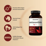 Source Haematococcus pluvialis – NatureBell Astaxanthine, origine naturelle.