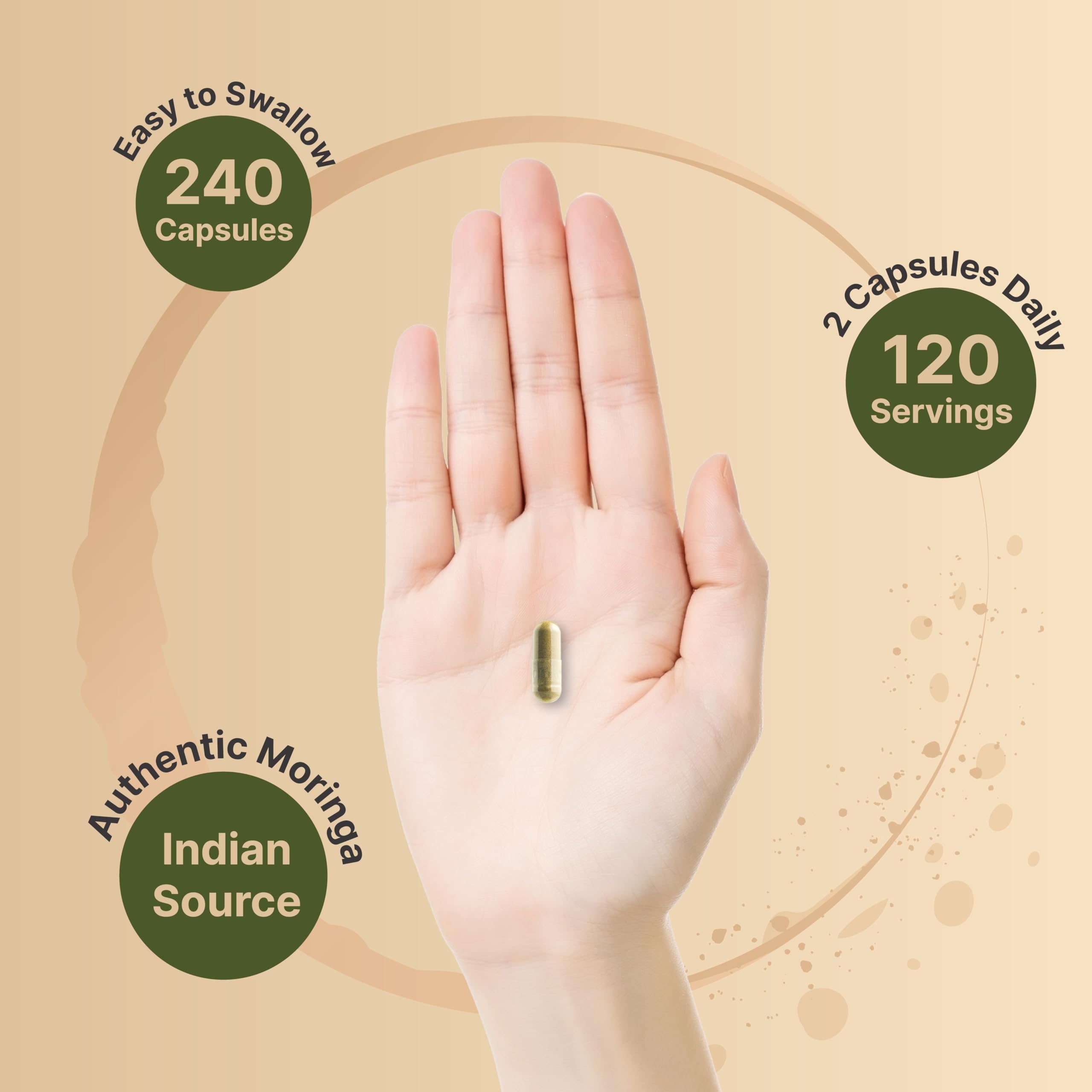NatureBell Moringa extrait-feuille 800 mg — riches polyphe9nols et flavonoides.