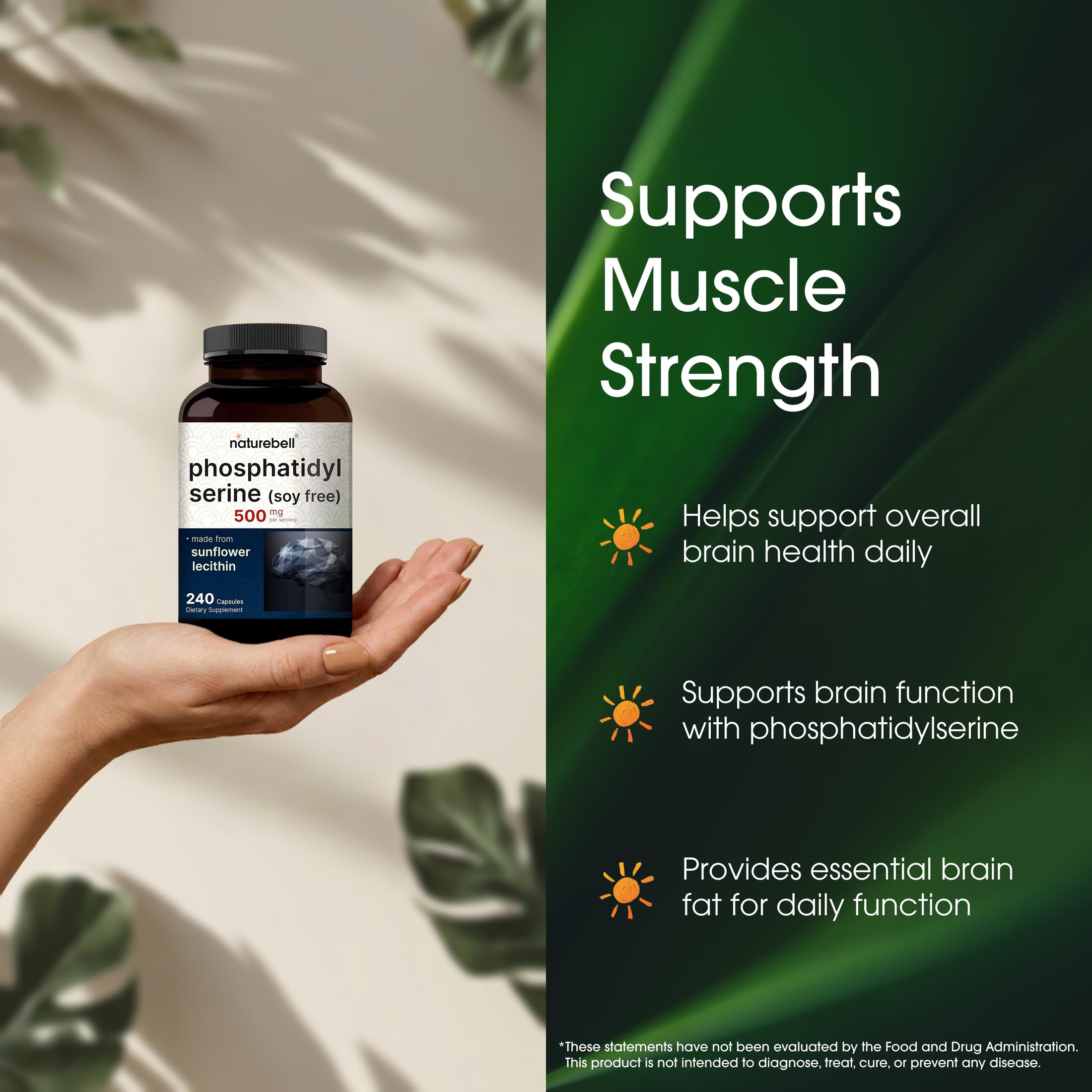 NatureBell phosphatidylserine 500mg – Formulation bioavailable standardisée à 20 pour cent