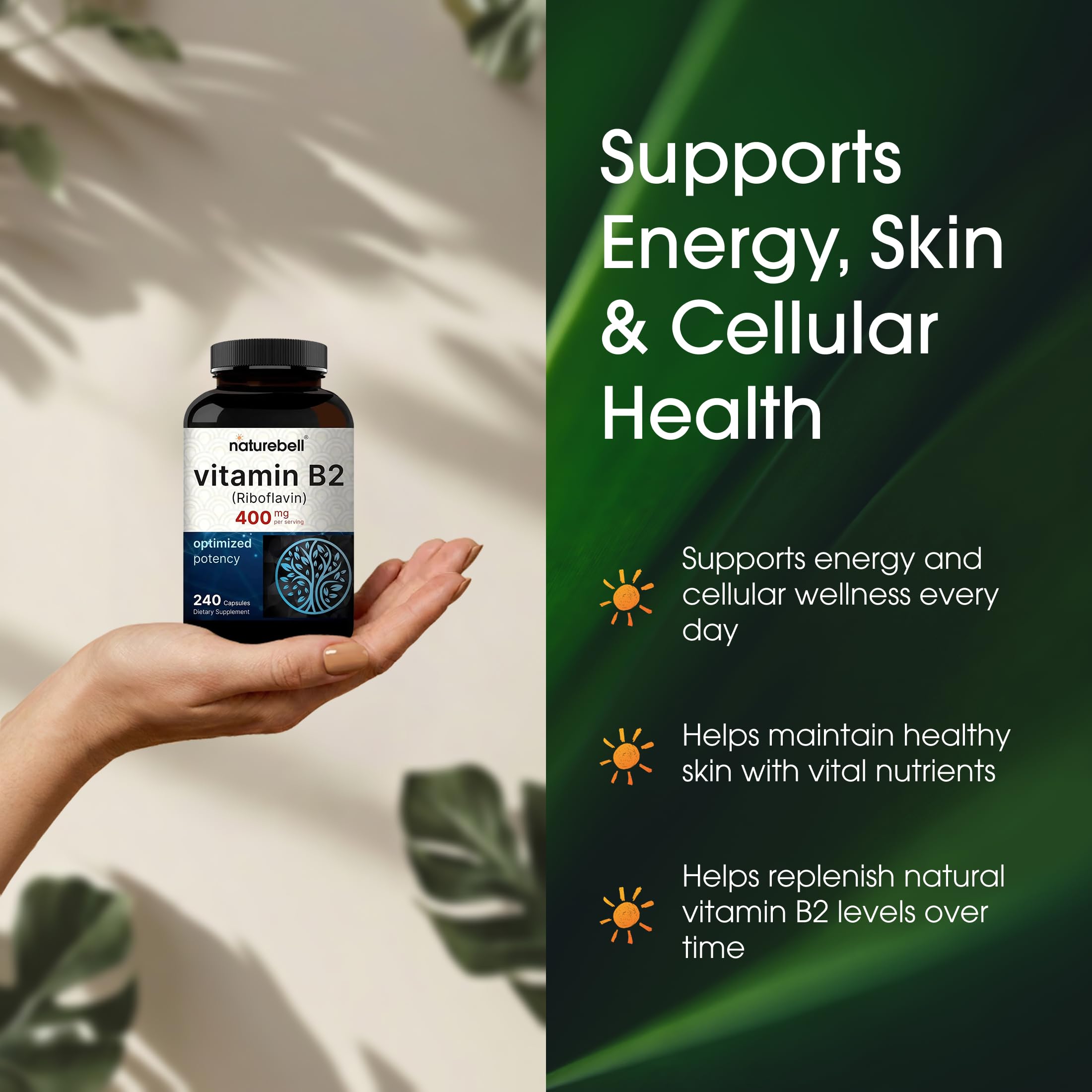 NatureBell Vitamine B2, dose quotidienne illustrée pour une routine simple et fiable.