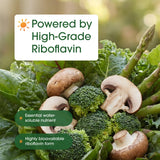 NatureBell Vitamine B2, gélules prêtes à être prises dans le cadre d'une routine actuelle.