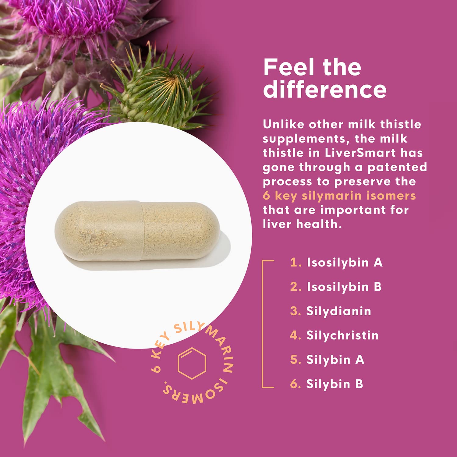 Capsules faciles à avaler – soutien énergie et bien-être quotidien