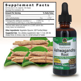 Nature's Answer Ashwagandha etiquette ingrédients: liste claire des ingrédients.
