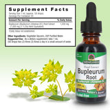 Nature's Answer Bupleurum Chinense – bouteille et verre prêts à l'utilisation quotidienne.