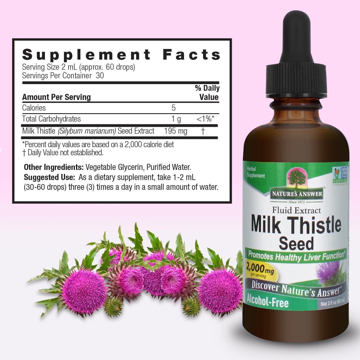 Nature's Answer chardon-Marie gouttes dans flacon, absorption rapide.