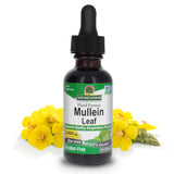 Nature's Answer Extrait de feuille de molène – bouteille compacte pour le soutien respiratoire.