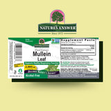 Extrait de molène Nature's Answer – concentration élevée par dose délivrant 1000 mg par ml.