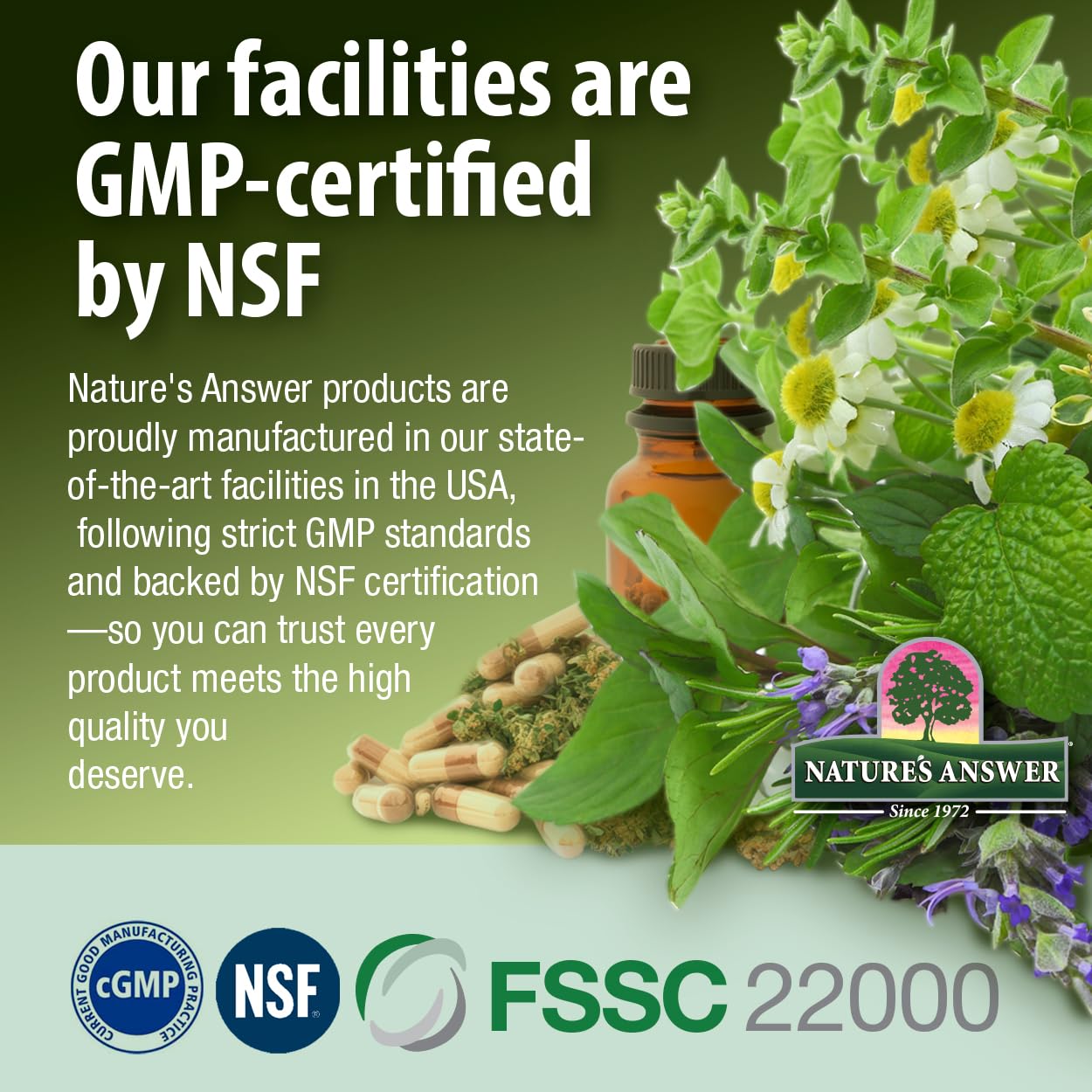Nature's Answer Eyebright flacon durable pour une utilisation quotidienne.