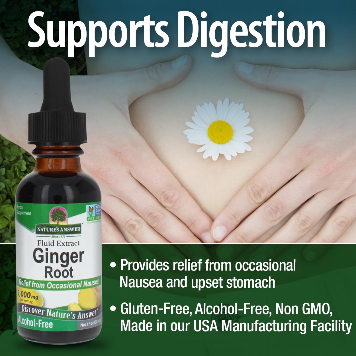 Nature's Answer extrait gingembre, produit vegan et non-GMO, qualité garantie.