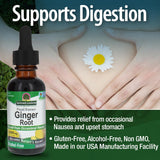 Nature's Answer extrait gingembre, produit vegan et non-GMO, qualité garantie.
