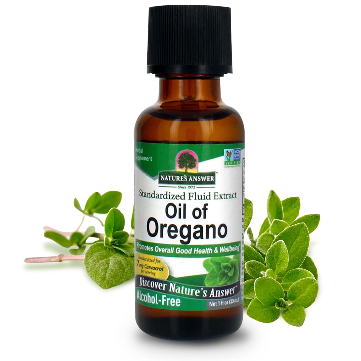 Nature's Answer Huile d'Origan Feuille — flacon avec compte-gouttes pour dosage précis