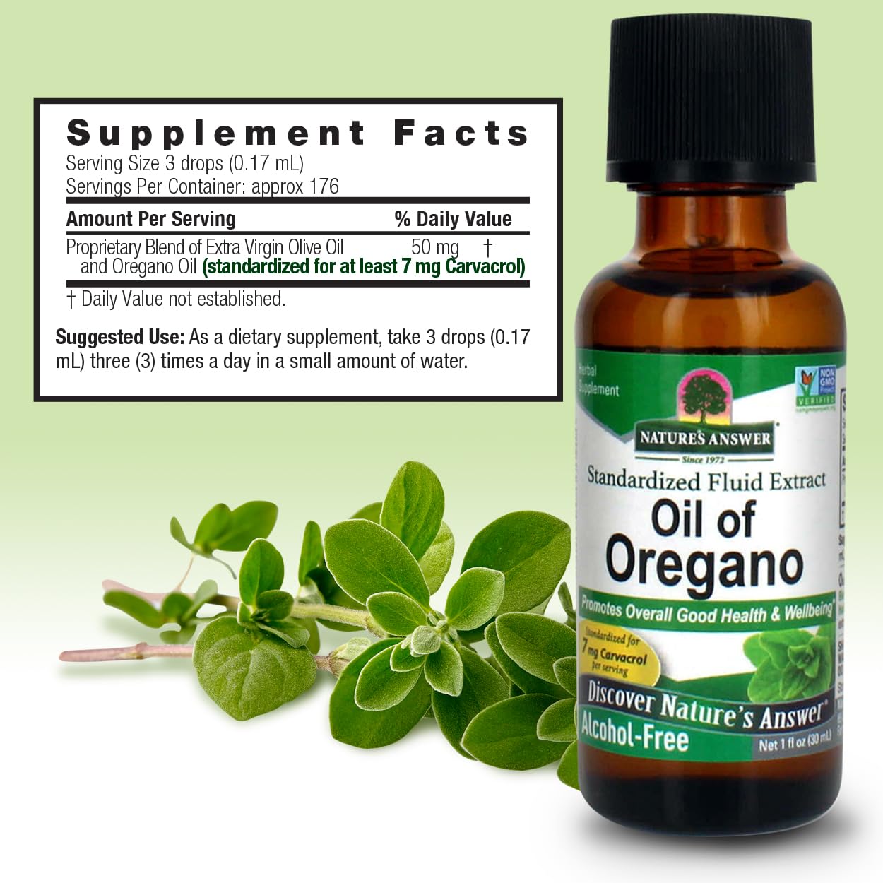 Nature's Answer Huile d'Origan Feuille — feuilles d'origan pour parfum naturel