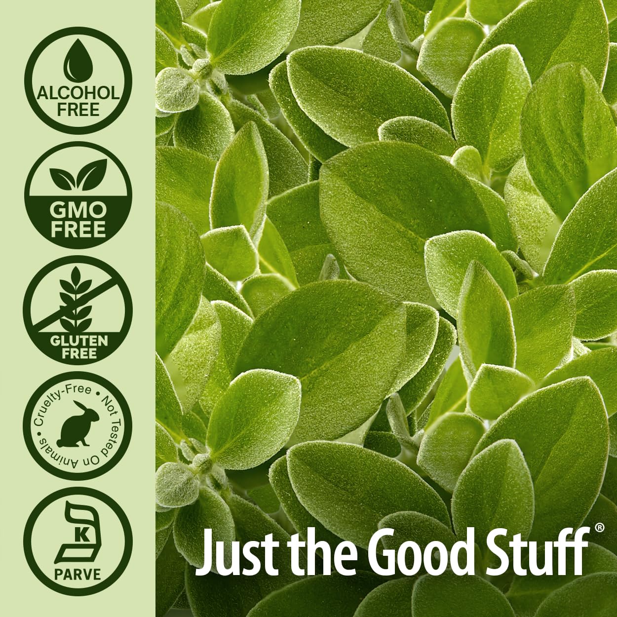 Nature's Answer Huile d'Origan Feuille — verre avec goutte pour dosage pratique