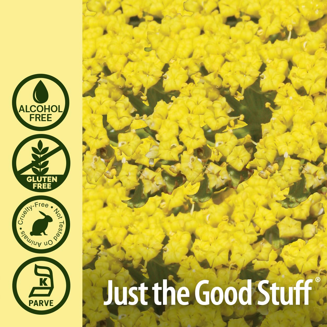 Nature's Answer Lomatium extract - compte-gouttes, utilisation quotidienne simple et précise.