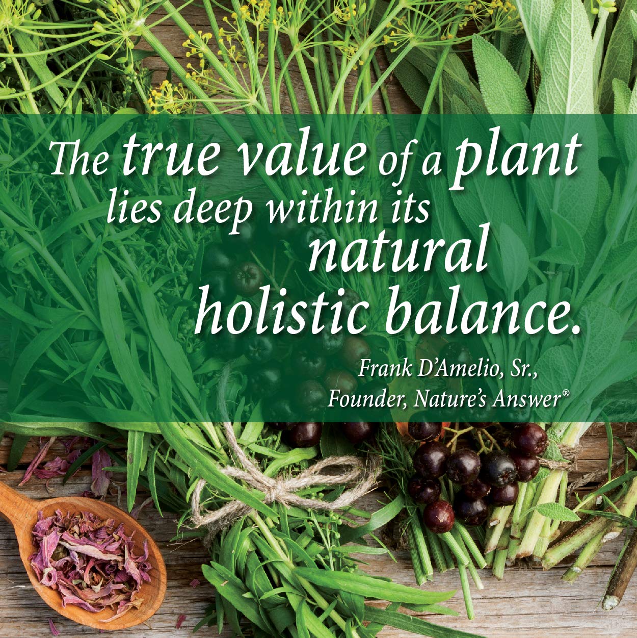 Nature's Answer PerioBrite: utilisation quotidienne simple et efficace.