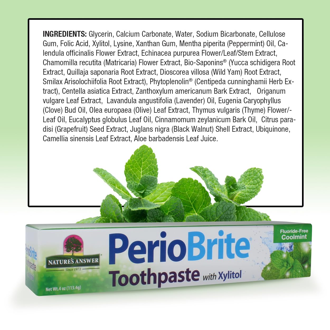 Texture crème PerioBrite menthe fraîche, brossage agréable et douceur.
