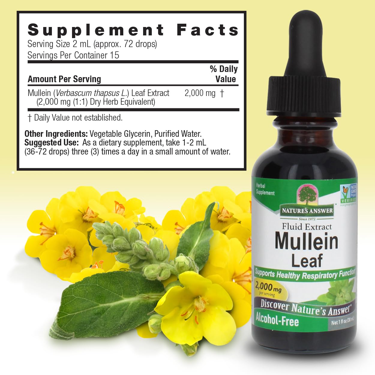 Nature's Answer Extrait de feuille de molène – soutien respiratoire sans alcool.