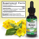 Nature's Answer Extrait de feuille de molène – soutien respiratoire sans alcool.