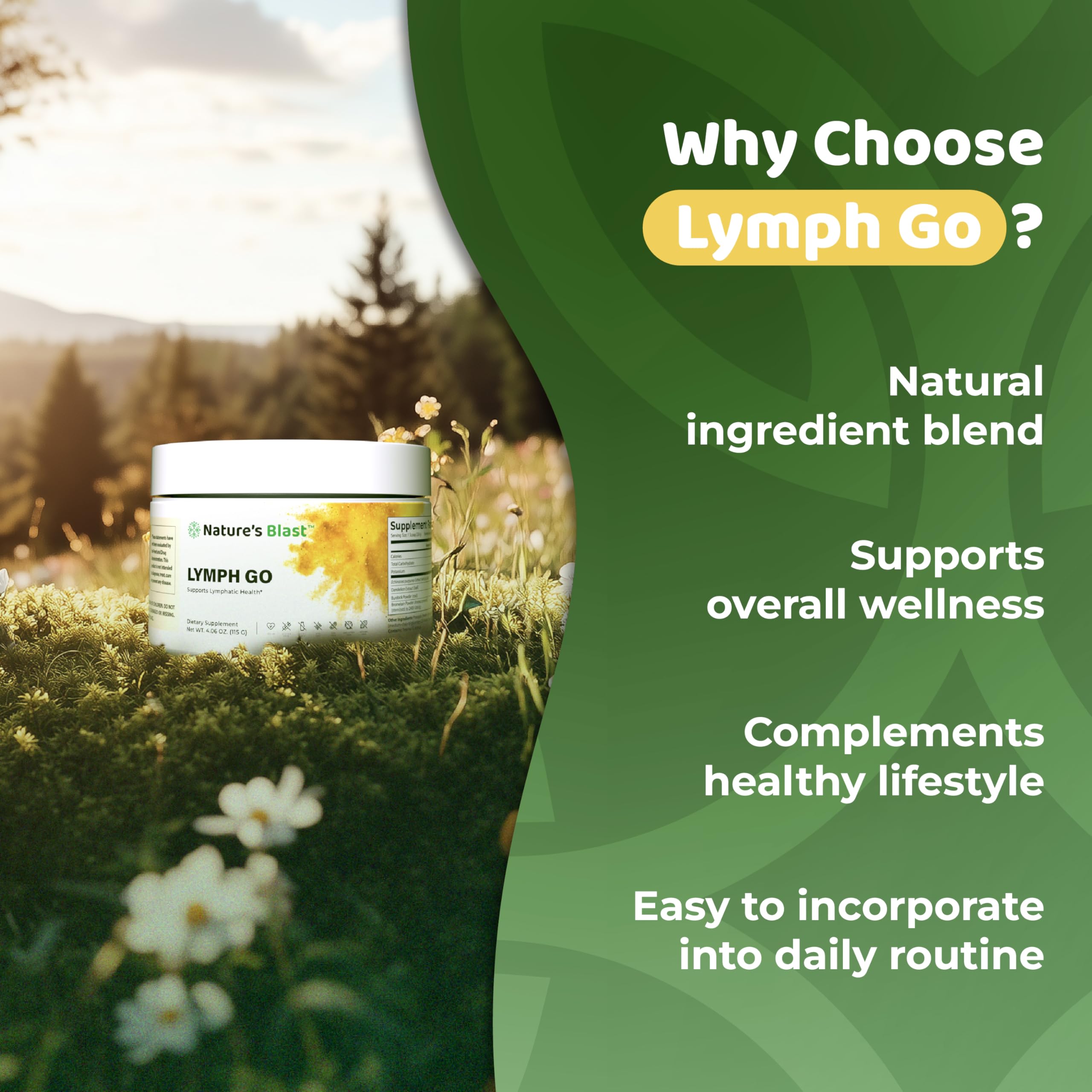 NATURES BLAST Lymph Go - bromelaine en poudre pour un soutien bien-être