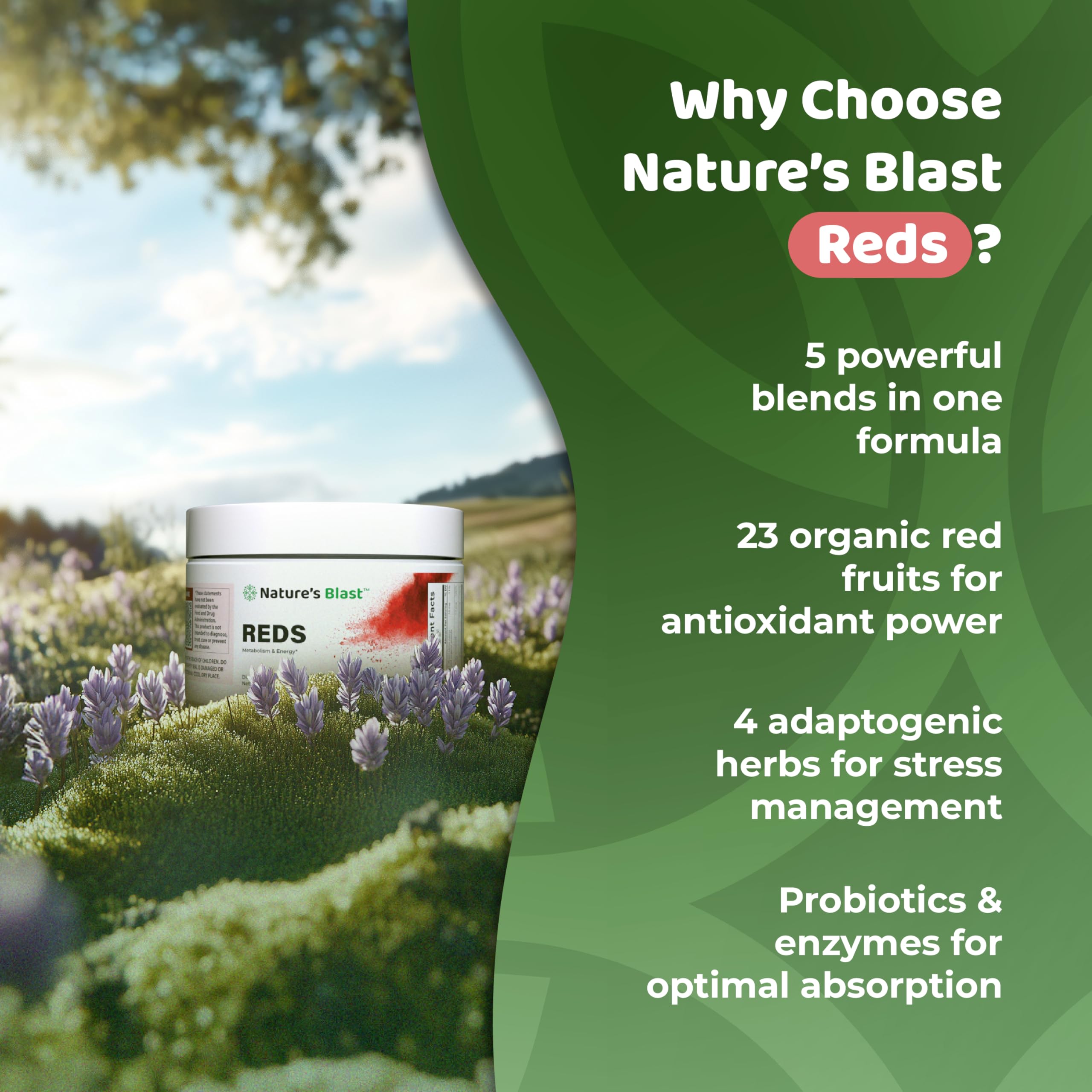 NATURES BLAST Reds - adaptogènes quatre herbes pour l'équilibre.