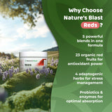 NATURES BLAST Reds - adaptogènes quatre herbes pour l'équilibre.